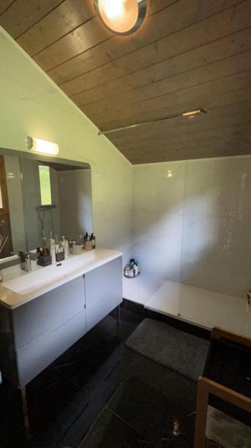 Chalet Luxueux Châtel Zewnętrze zdjęcie