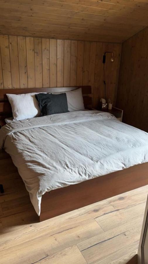 Chalet Luxueux Châtel Zewnętrze zdjęcie